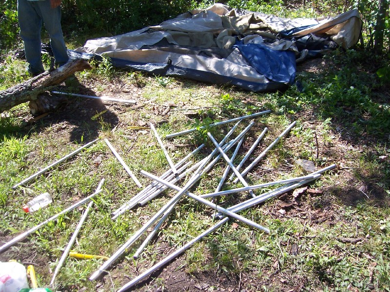 Click to view full-size image