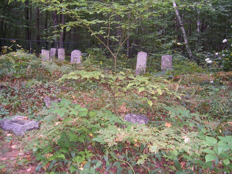 Click to view full-size image