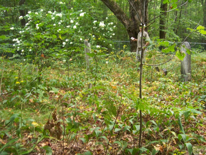 Click to view full-size image