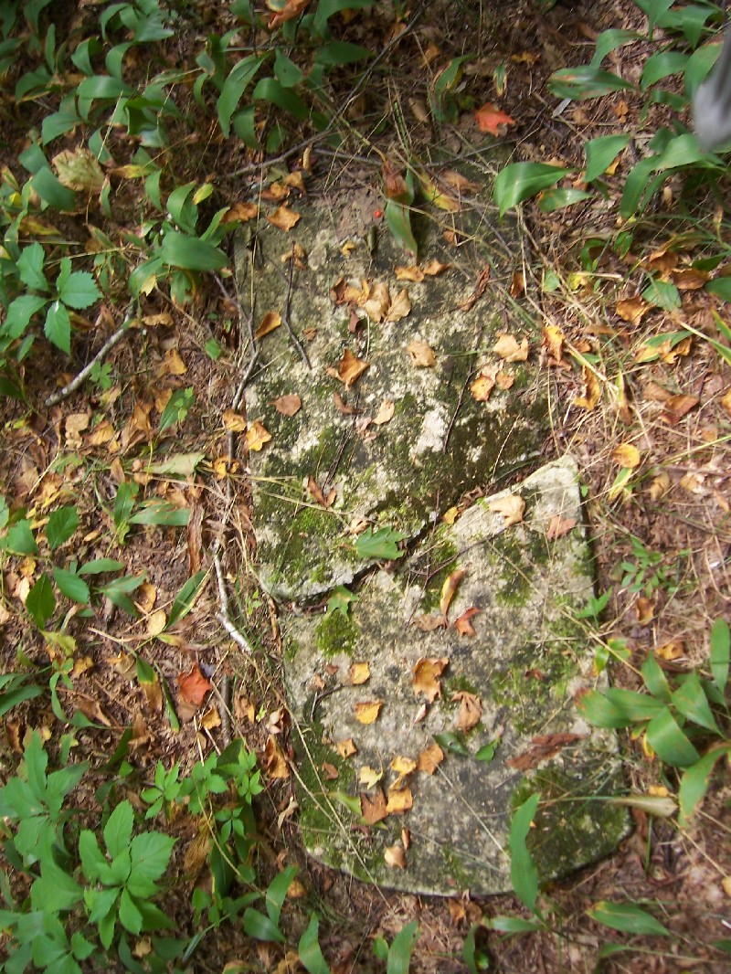 Click to view full-size image