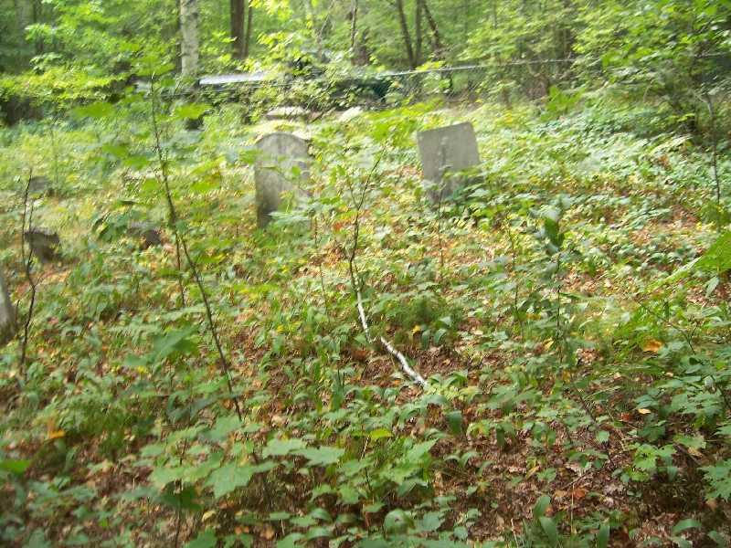 Click to view full-size image