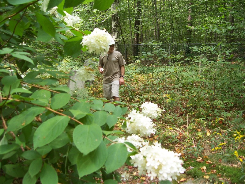 Click to view full-size image