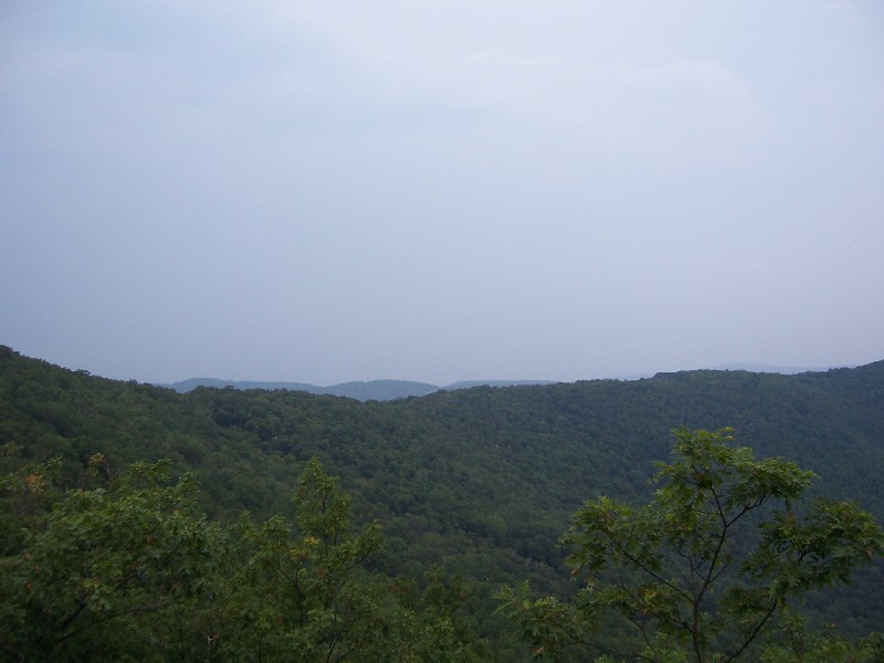 Click to view full-size image