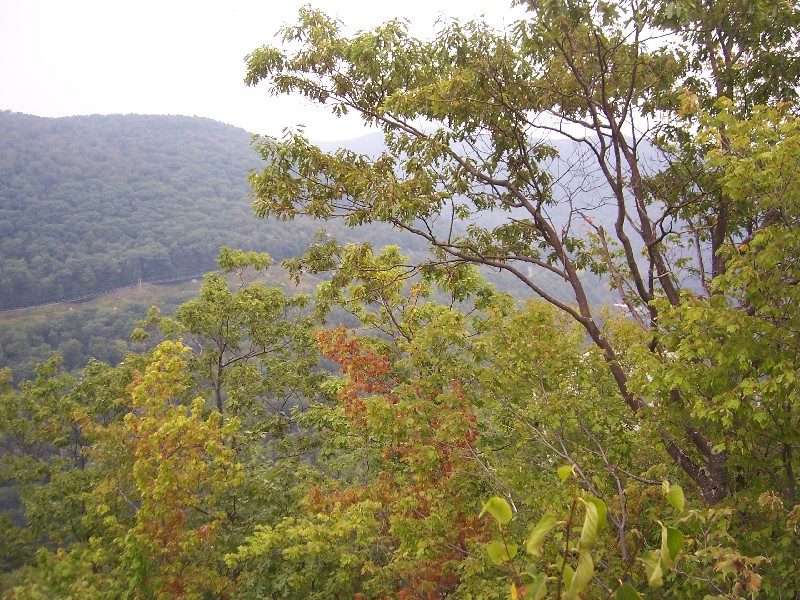 Click to view full-size image