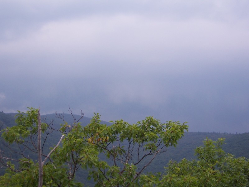 Click to view full-size image