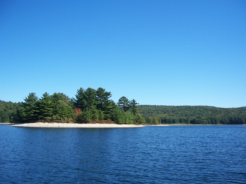 Click to view full-size image