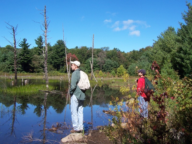 Click to view full-size image