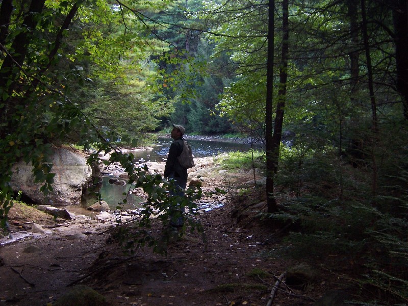 Click to view full-size image