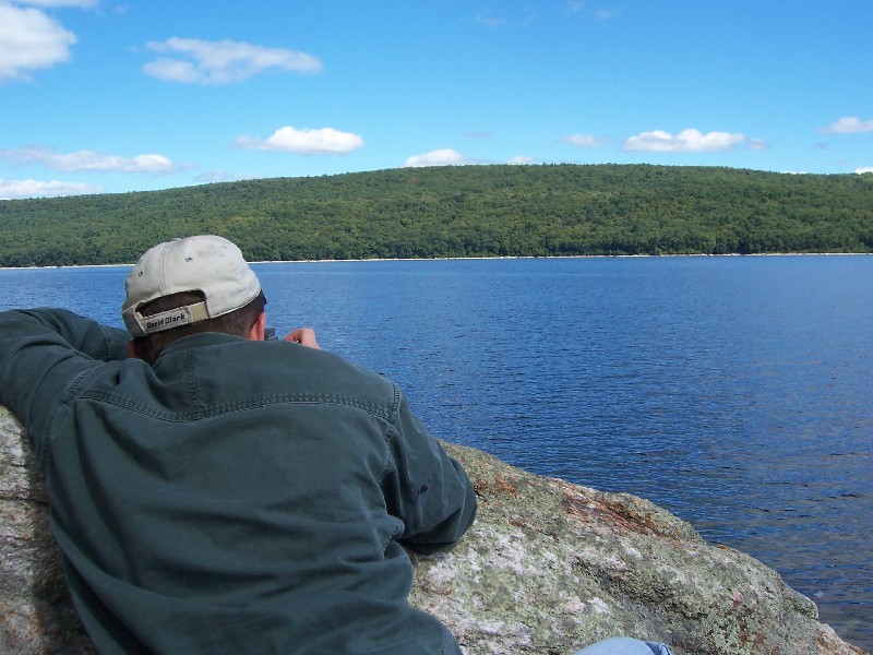 Click to view full-size image