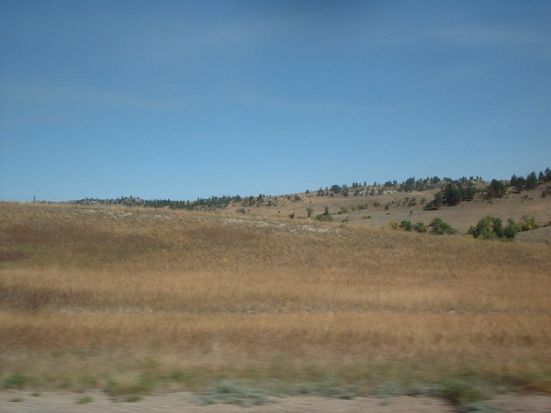 Click to view full-size image