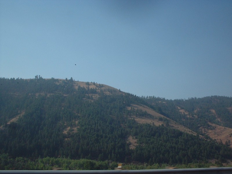 Click to view full-size image