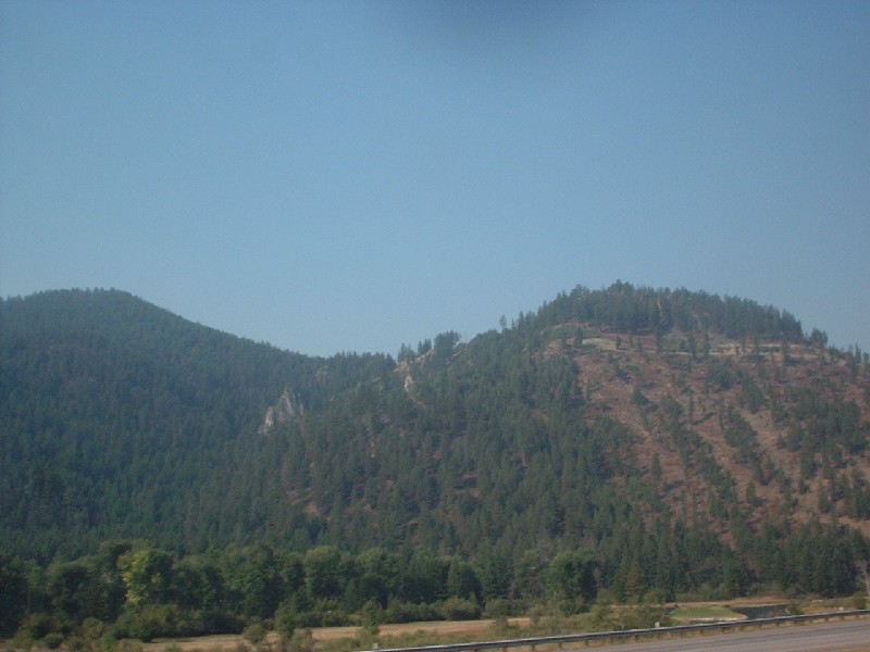 Click to view full-size image