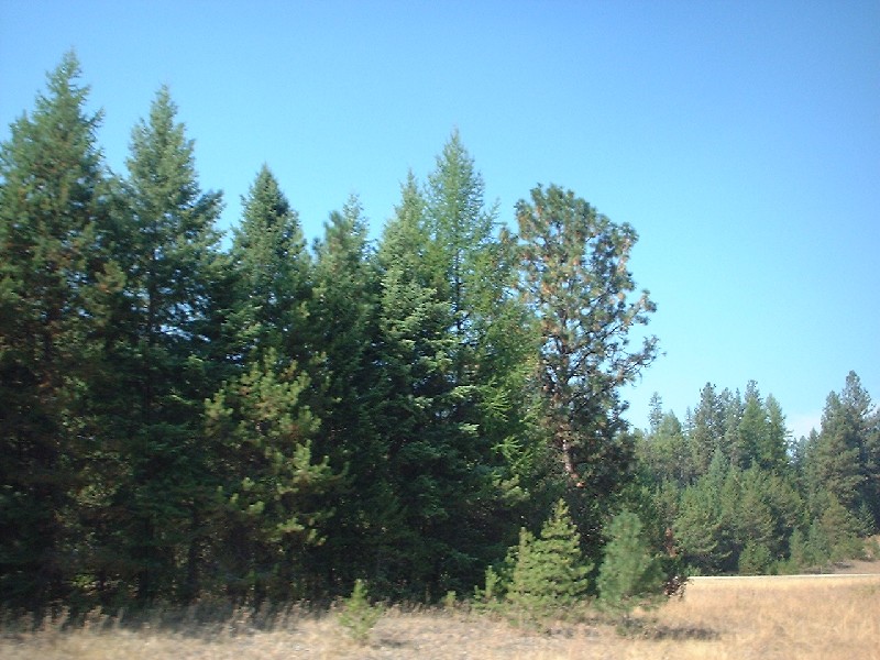 Click to view full-size image