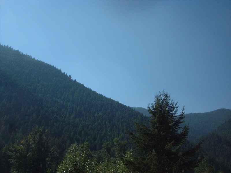 Click to view full-size image