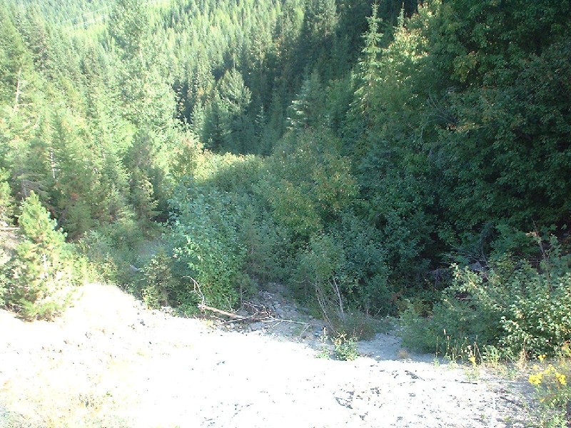 Click to view full-size image