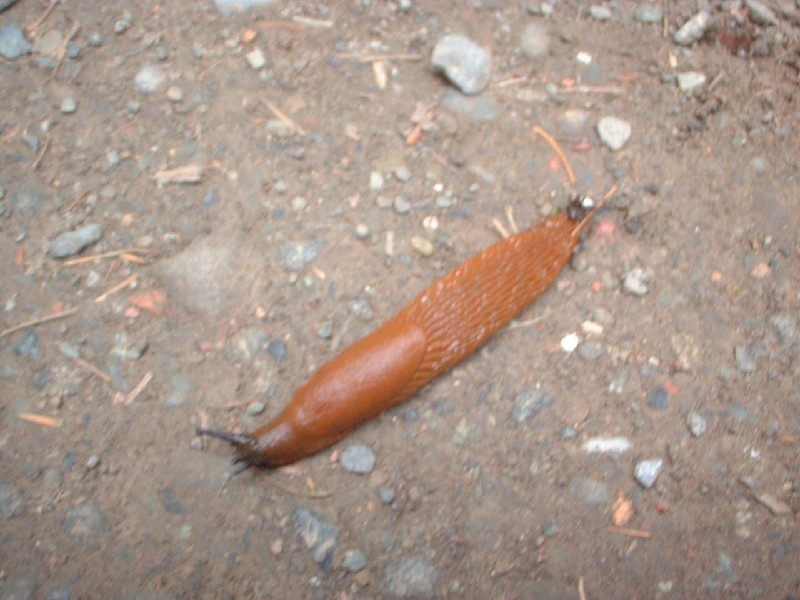 Click to view full-size image