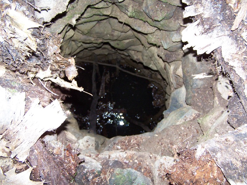 Click to view full-size image