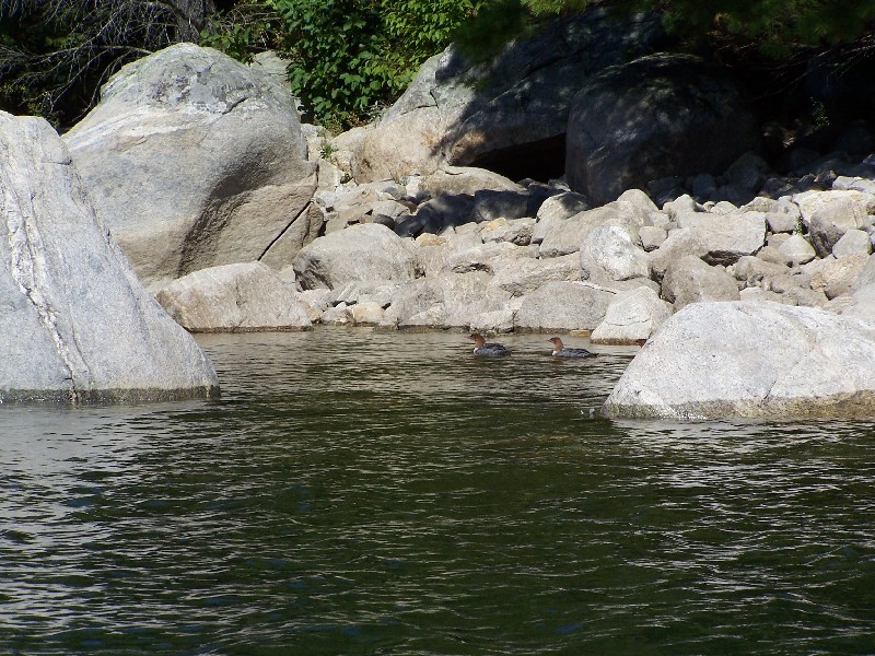 Click to view full-size image