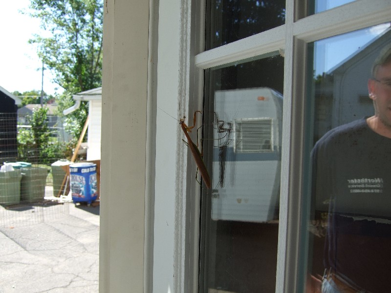 Click to view full-size image