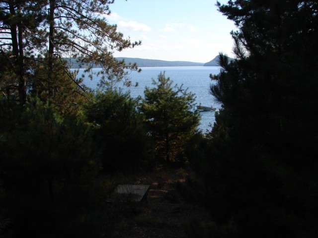 Click to view full-size image