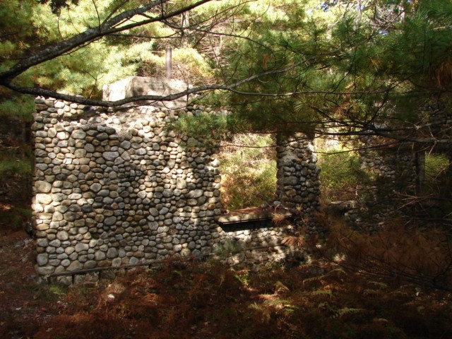 Click to view full-size image