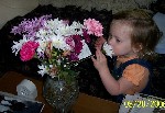 Click to View this Album