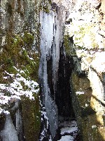 Click to View this Album