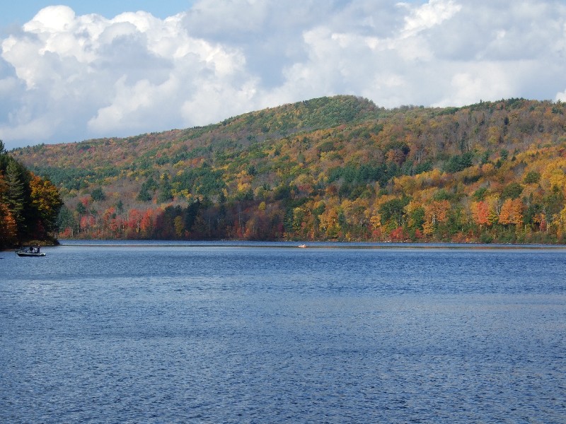 Click to view full-size image