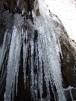 Click to View this Album