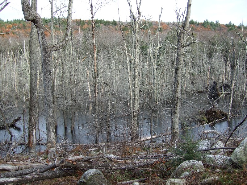 Click to view full-size image