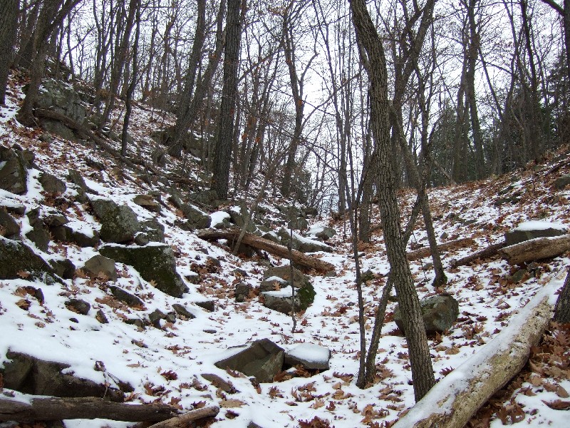 Click to view full-size image