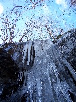 Click to View this Album