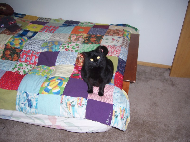 Click to view full-size image