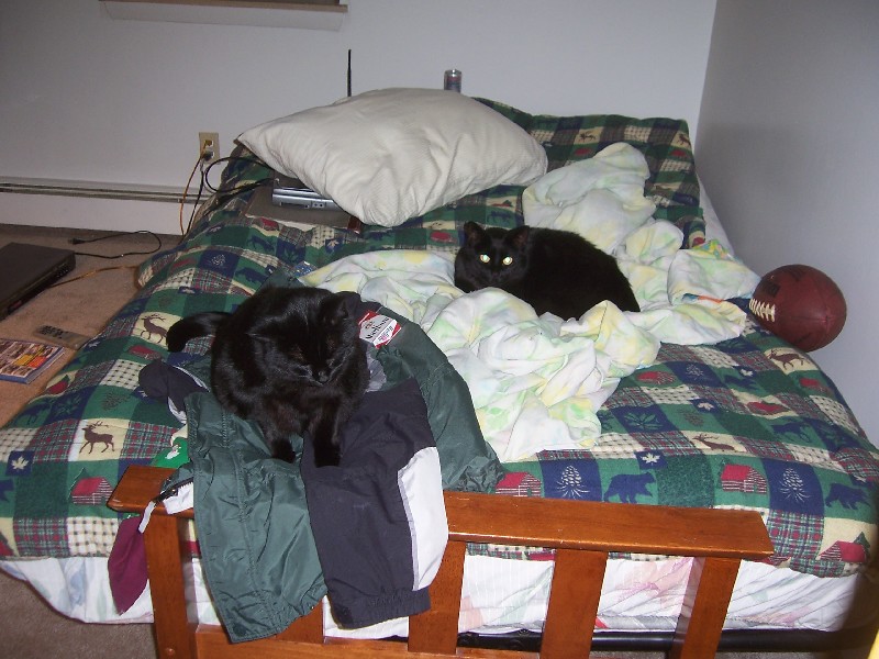 Click to view full-size image