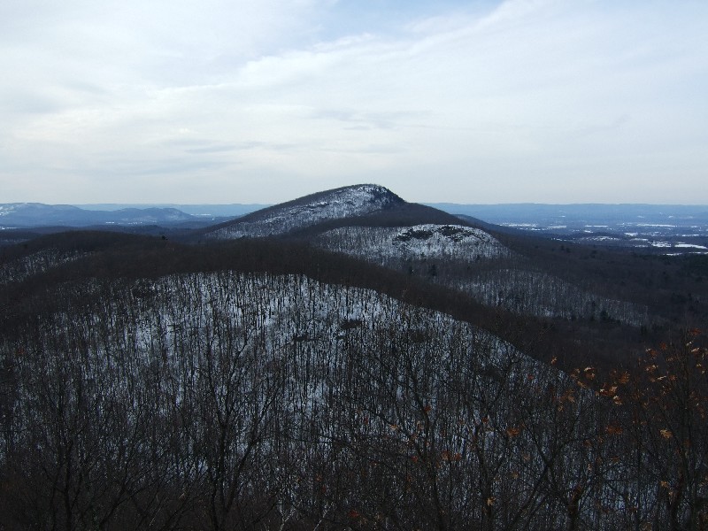 Click to view full-size image