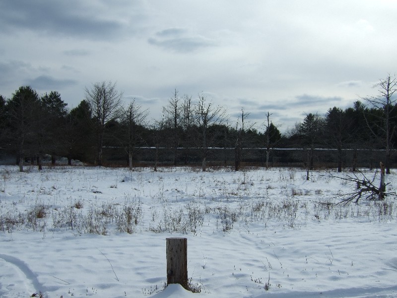 Click to view full-size image