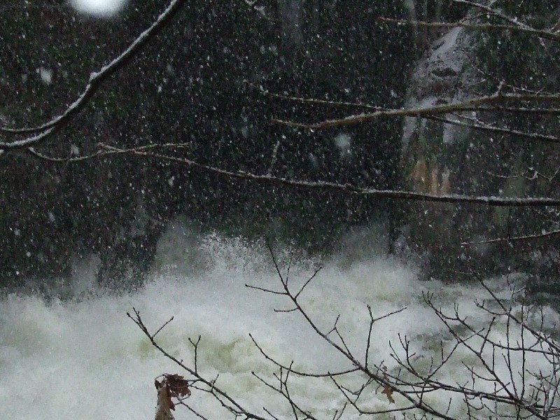 Click to view full-size image