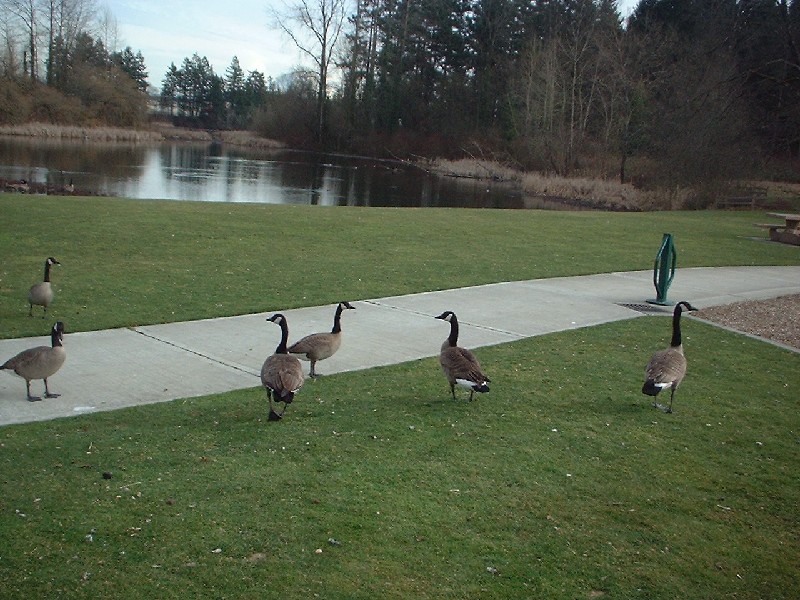 Click to view full-size image