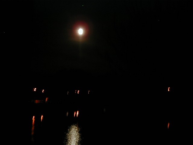 Click to view full-size image