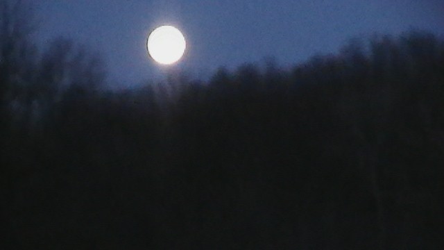 Click to view full-size image