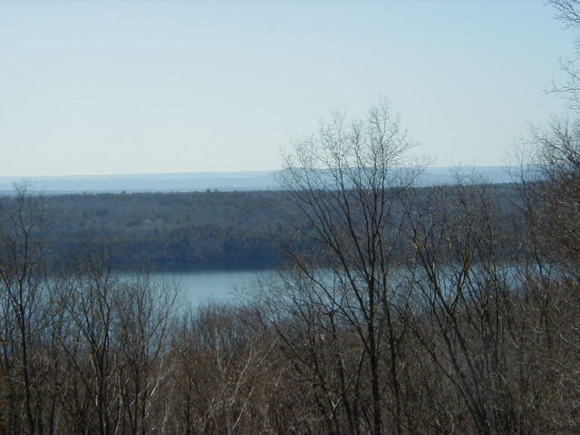 Click to view full-size image