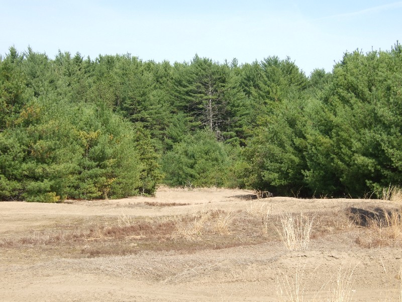 Click to view full-size image