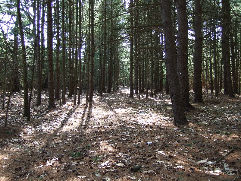 Click to view full-size image