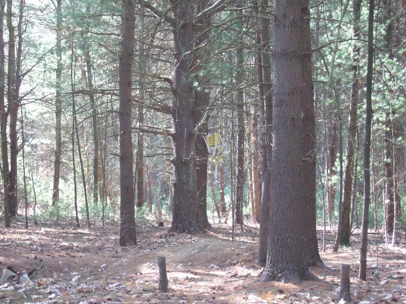 Click to view full-size image