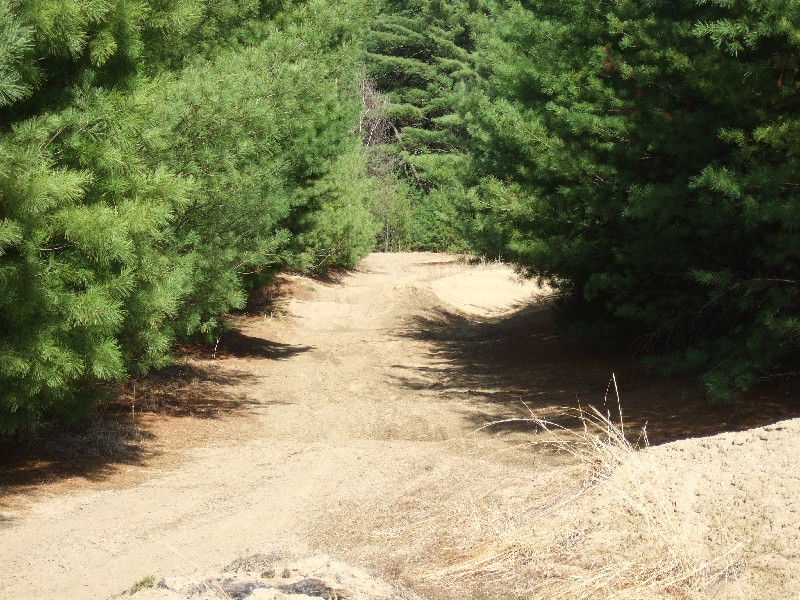 Click to view full-size image