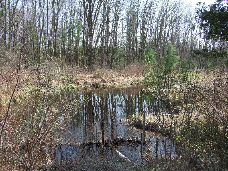 Click to view full-size image