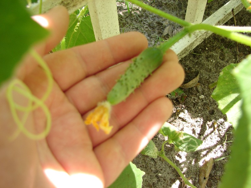 Click to view full-size image