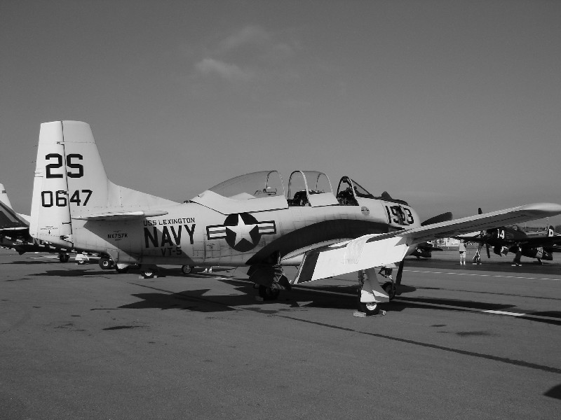Click to view full-size image