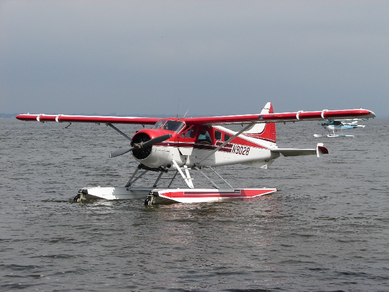 Click to view full-size image